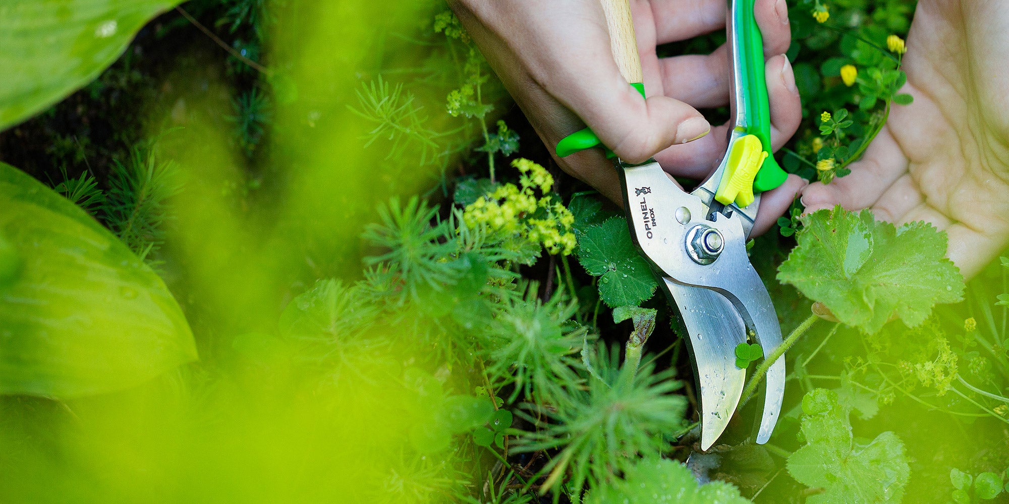 Opinel Hand Pruner Shears for Gardening, 2 Colors on Food52