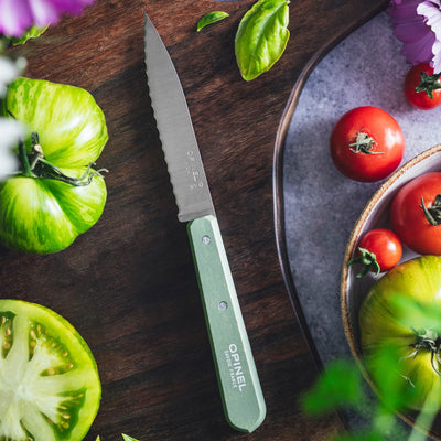 Second Chance | Serrated Paring Knife Essential - Paysage Color Set-OPINEL USA