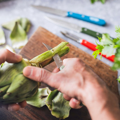 Vegetable Knife Essential - Paysage Color Set-OPINEL USA