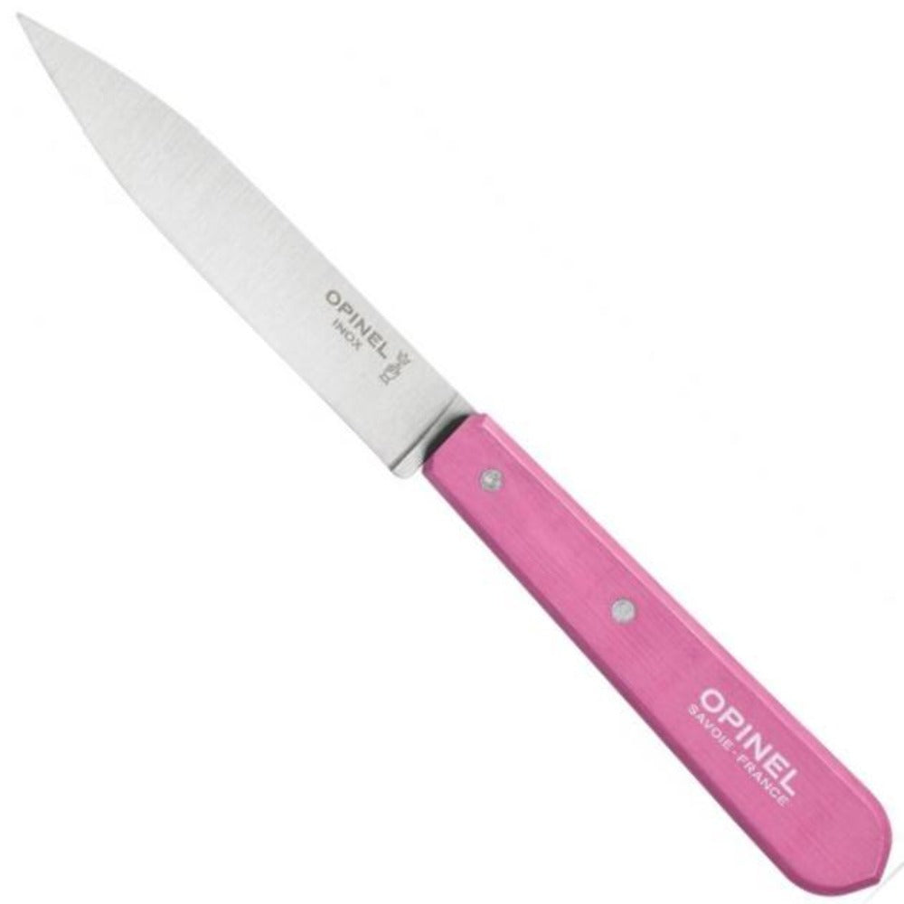 https://www.opinel-usa.com/cdn/shop/products/Essential-Paring-Knife-Small-Kitchen-Knife-6_2000x.jpg?v=1704305632