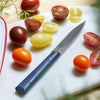 - OPINEL USA