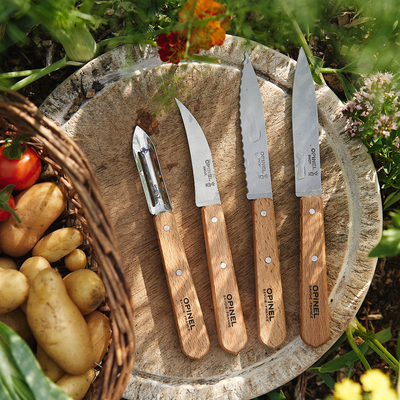 https://www.opinel-usa.com/cdn/shop/products/Essential-Small-Kitchen-Knife-Set-Dish-Towel-Bundle-7_400x.png?v=1704307493