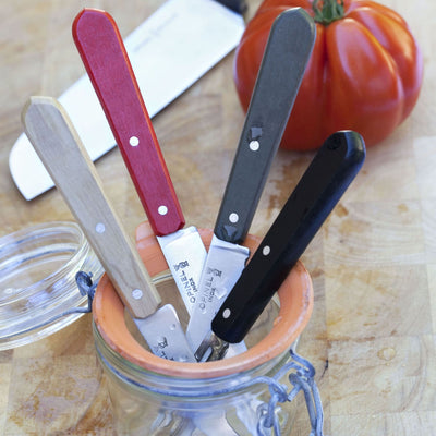 Essential Small Kitchen Knife Set & Dish Towel Bundle-OPINEL USA