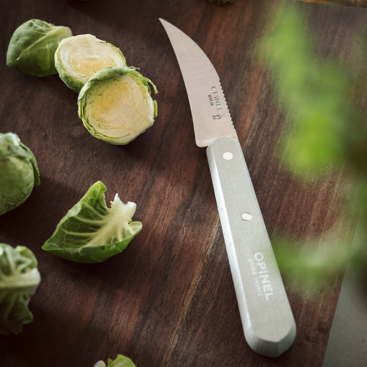 Essential Small Kitchen Knife Set - OPINEL USA