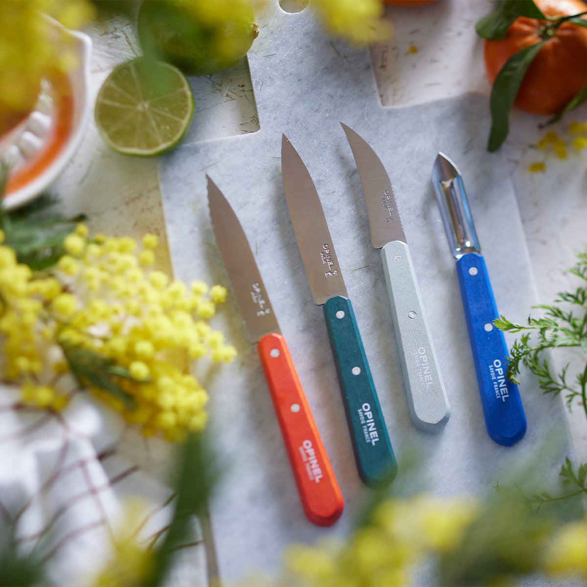 Small Kitchen Knife Set - OPINEL USA