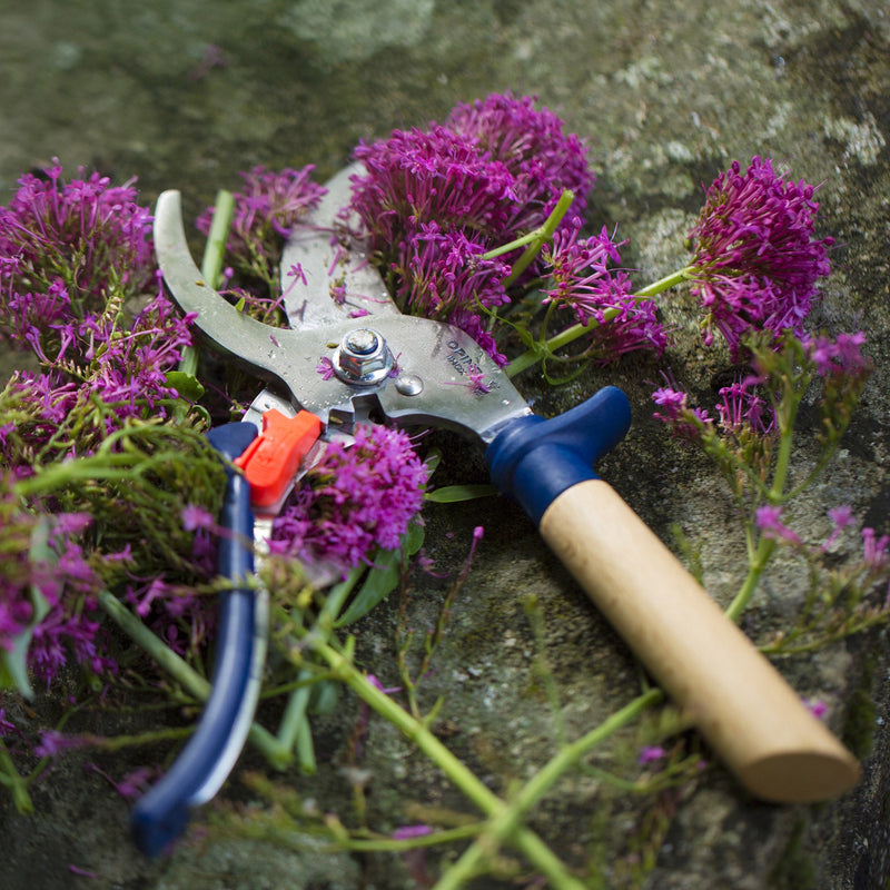 Hand Pruners-OPINEL USA