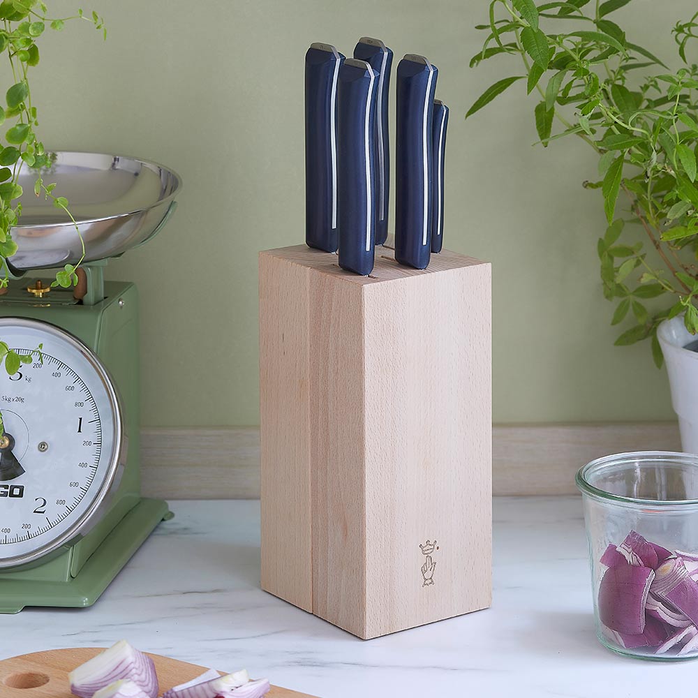 https://www.opinel-usa.com/cdn/shop/products/Intempora-5-Piece-Chef-Knife-Set-with-Block-Large-Kitchen-Knife-2_2000x.jpg?v=1703961609