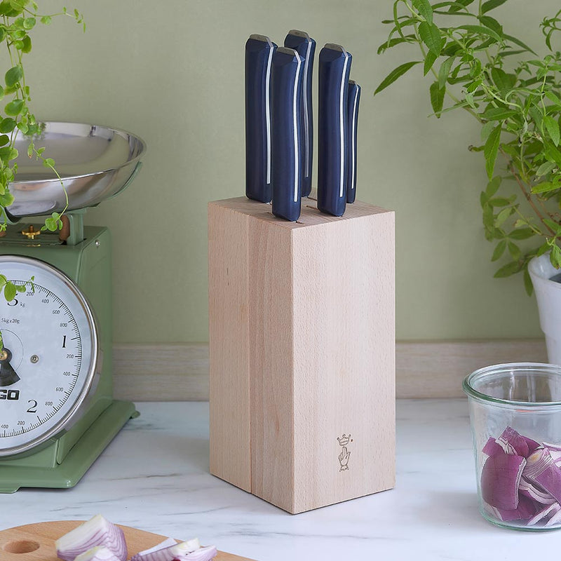 Intempora 5 Piece Chef Knife Set with Block-OPINEL USA