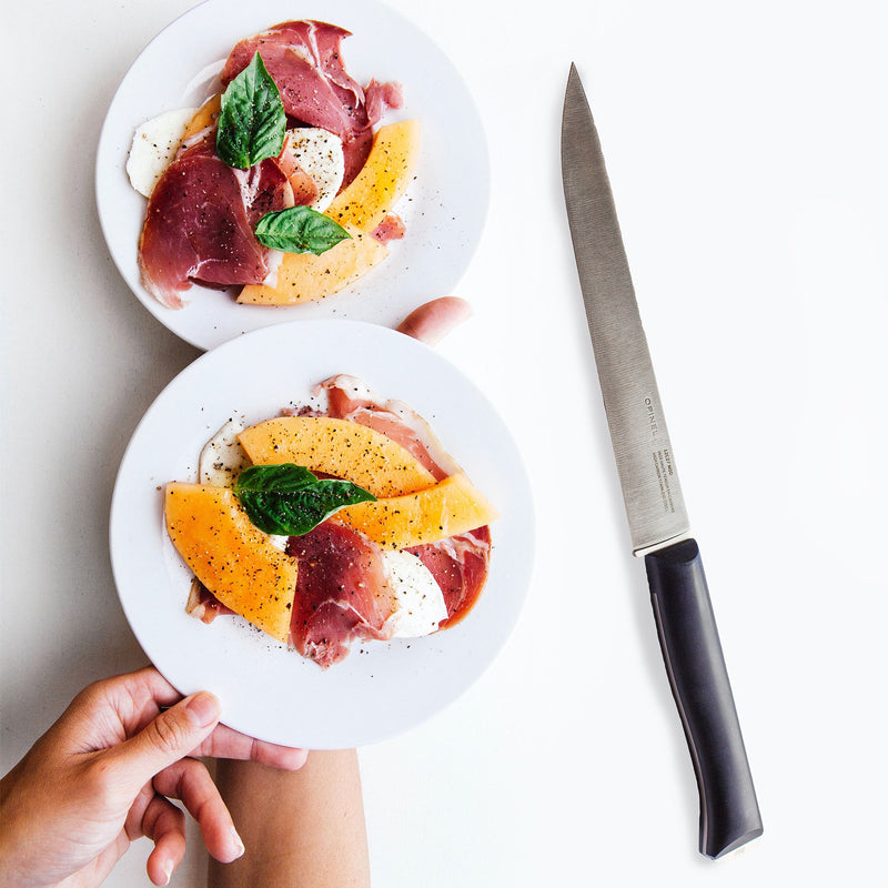 Intempora Kitchen Knives - OPINEL USA