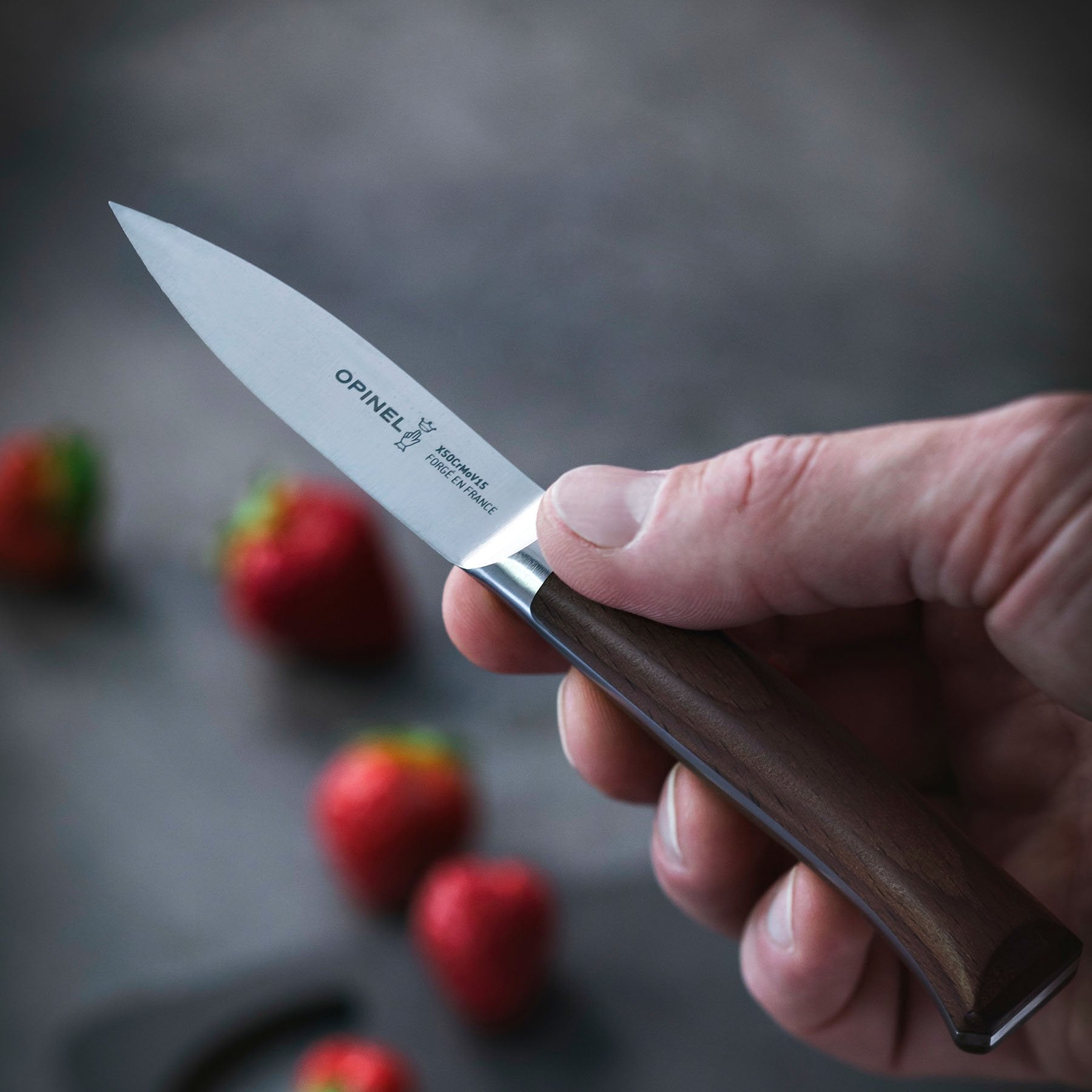 Opinel Large Kitchen and Chef Knives - OPINEL USA