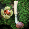 No.07 Folding Scoring Knife-OPINEL USA