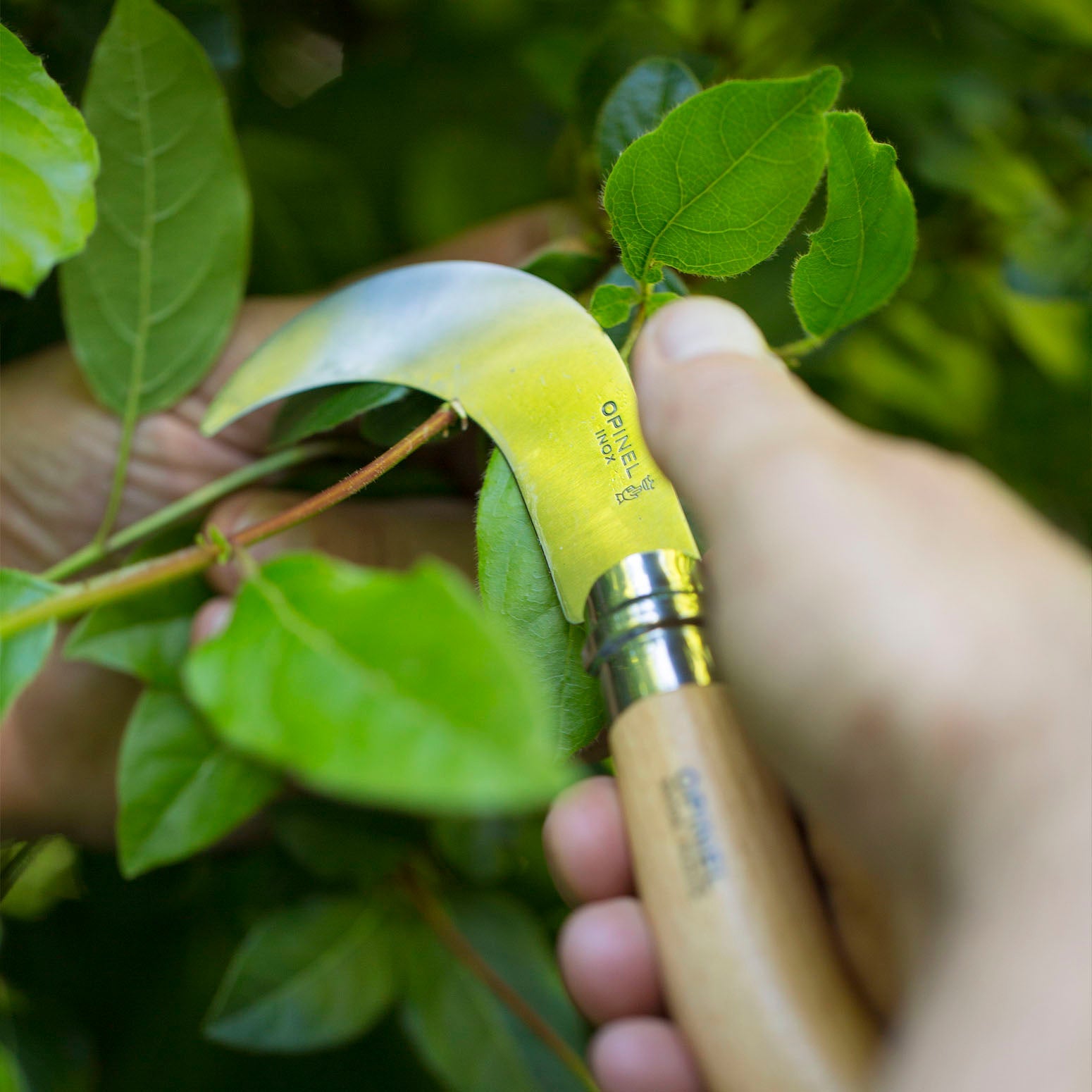 Opinel 12-wood tapered knife