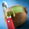 No.115 Micro-Serrated Stationary Peeler-OPINEL USA