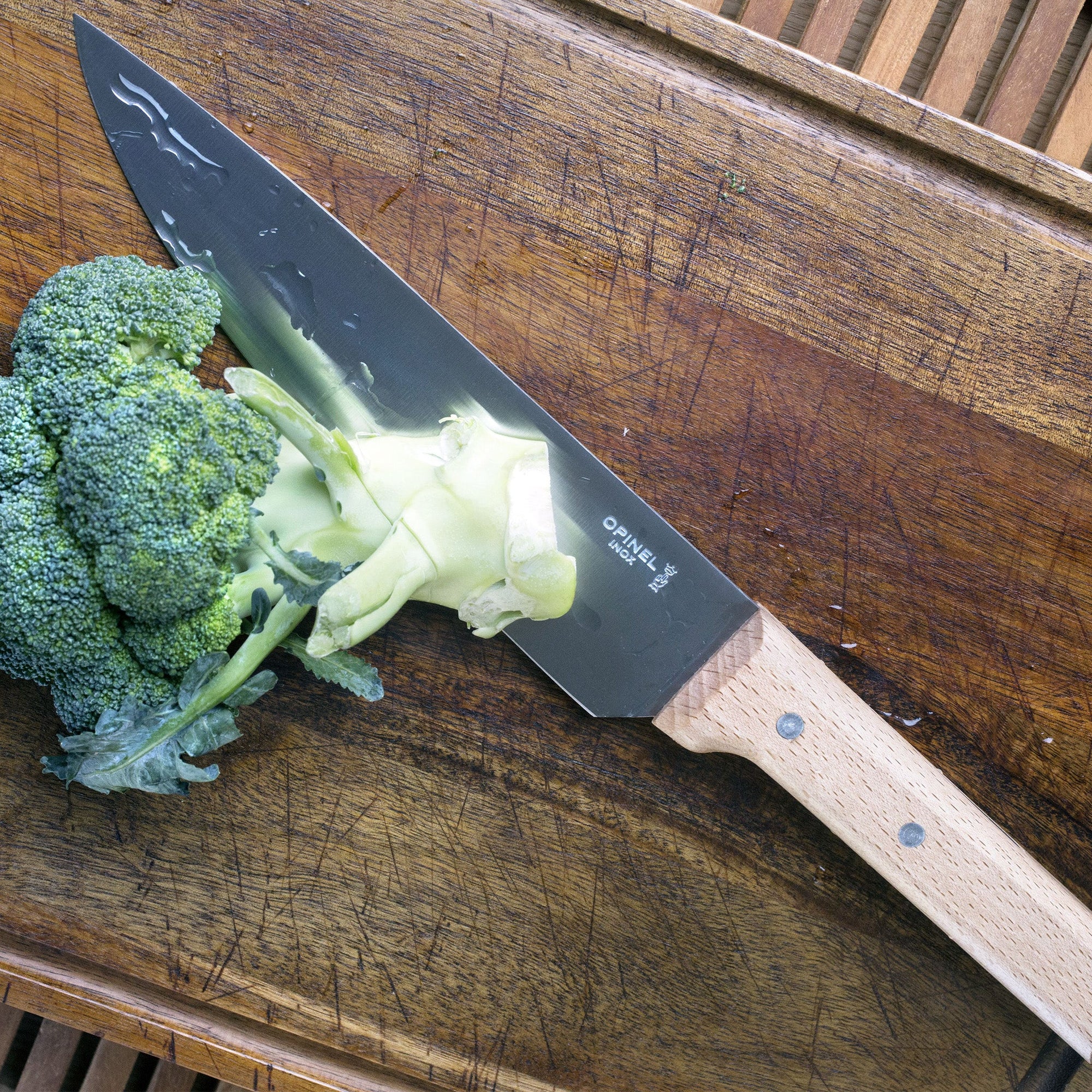 8 inch Chef's Knife | Stainless Steel Kitchen Chef Knife Blue