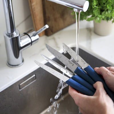 Serrated Steak Knives Set Bon Appétit+-OPINEL USA