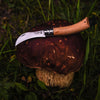 Surf & Turf Kit-OPINEL USA